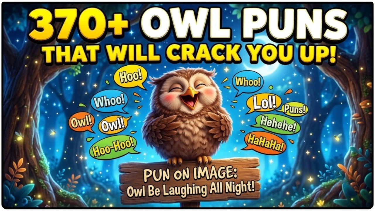 370+ Hilarious One Liner Owl Puns That Are Owl-So Funny