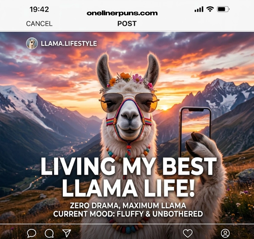 Llama puns for Instagram captions and social media:
